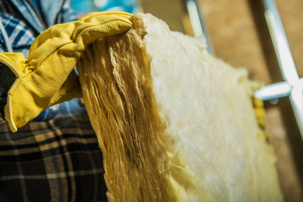 Best Spray Foam Insulation in Mccamey, TX